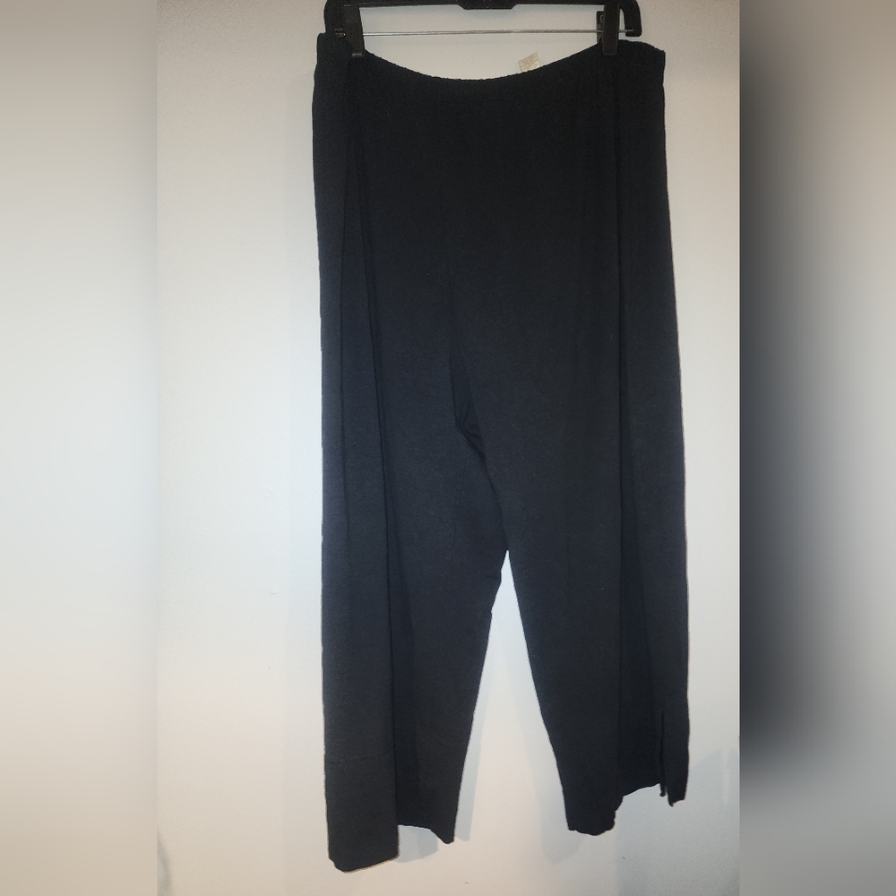 J.Jill Stretch Black Cropped Women's Pants 2X